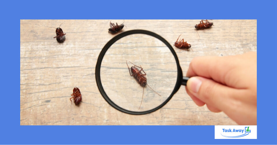 North Dakota Pest Control Industry Benefits from AI Virtual Assistant Technology thumbnail