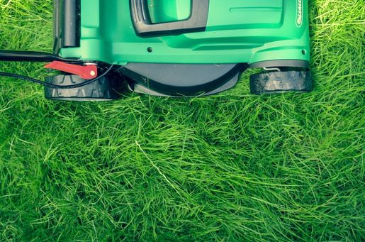 Lawnmower in yard